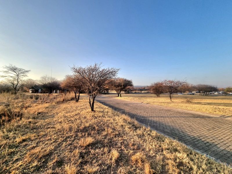 A view of the commercial vacant land featuring a paved driveway, mature trees, and open grass areas under a clear sky.