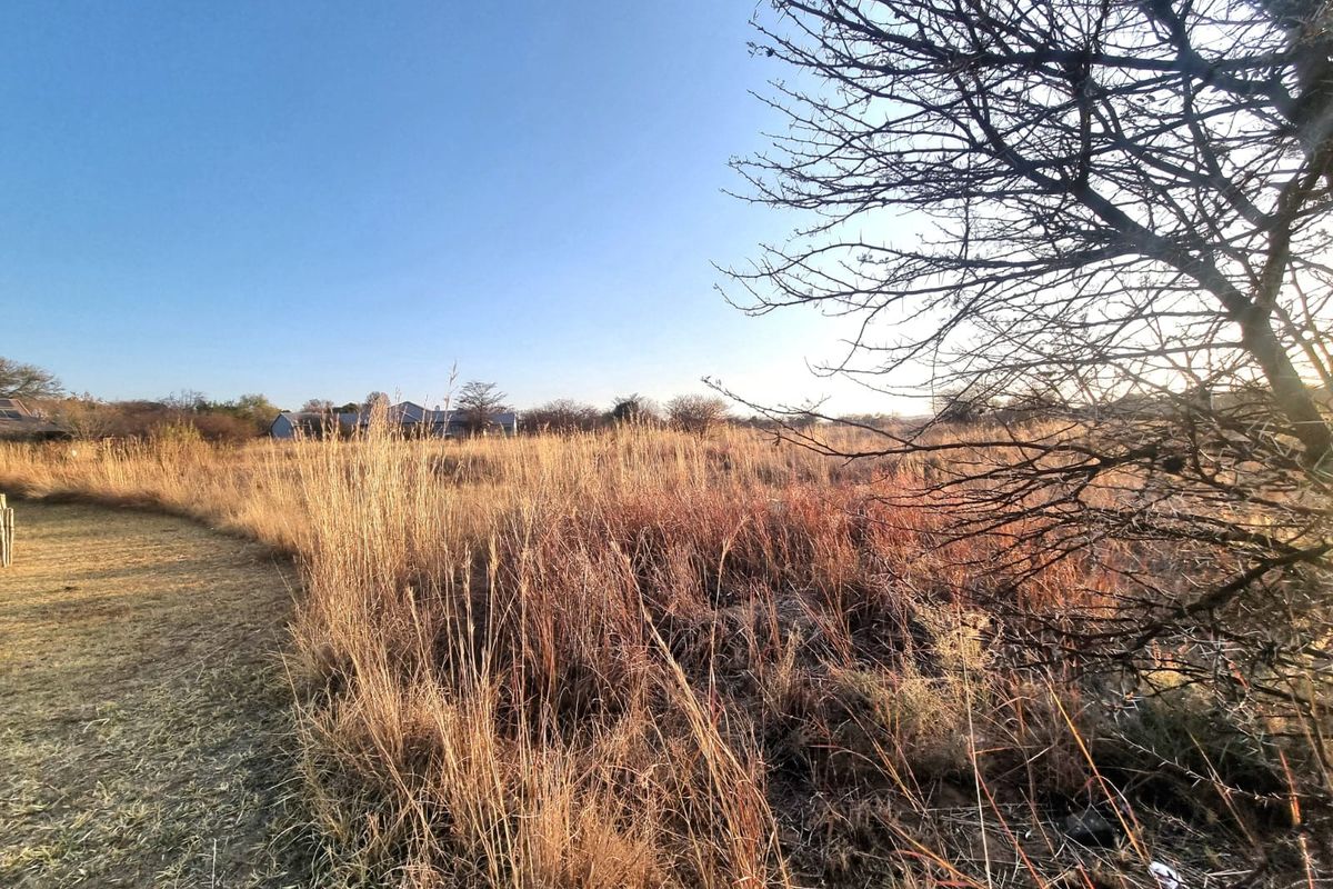 A view of an undeveloped commercial land plot featuring natural dry grass and surrounding vegetation.