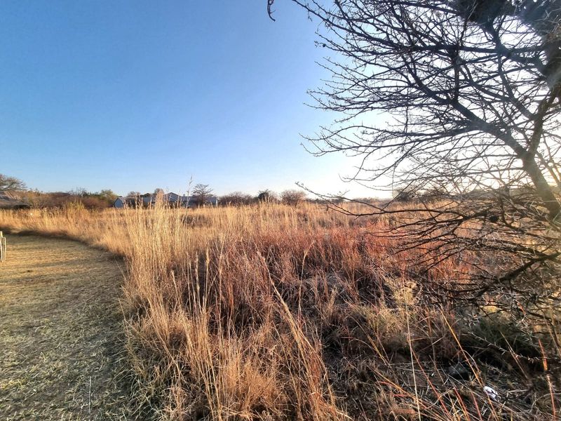 A view of an undeveloped commercial land plot featuring natural dry grass and surrounding vegetation.