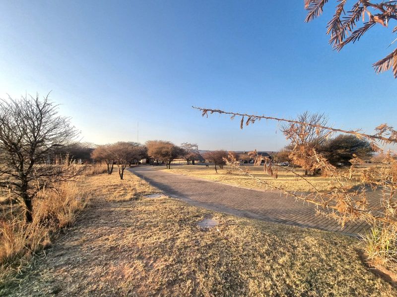 A view of a paved driveway leading through a landscaped area with mature trees on a clear day.
