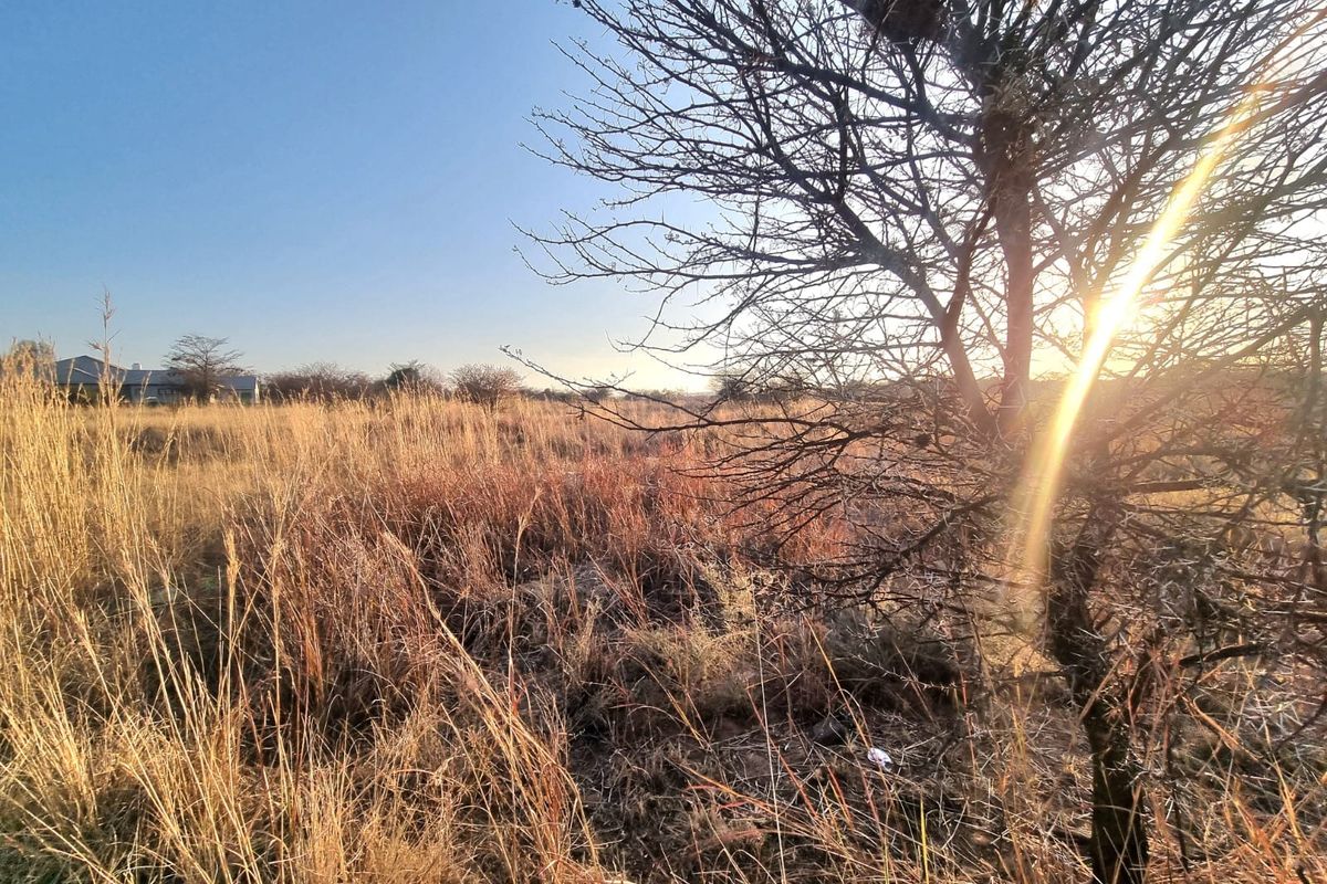 A view of a vacant commercial land plot featuring natural dry grass and mature trees under a clear sky.