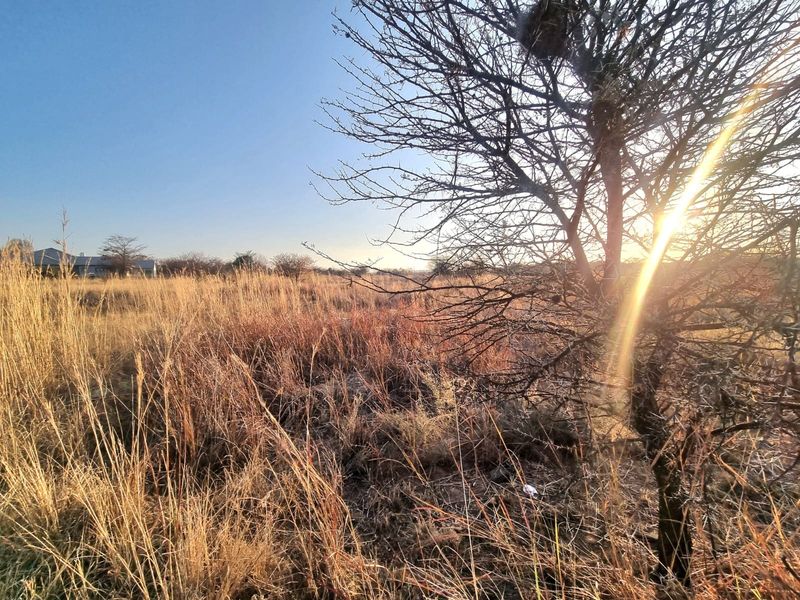 A view of a vacant commercial land plot featuring natural dry grass and mature trees under a clear sky.