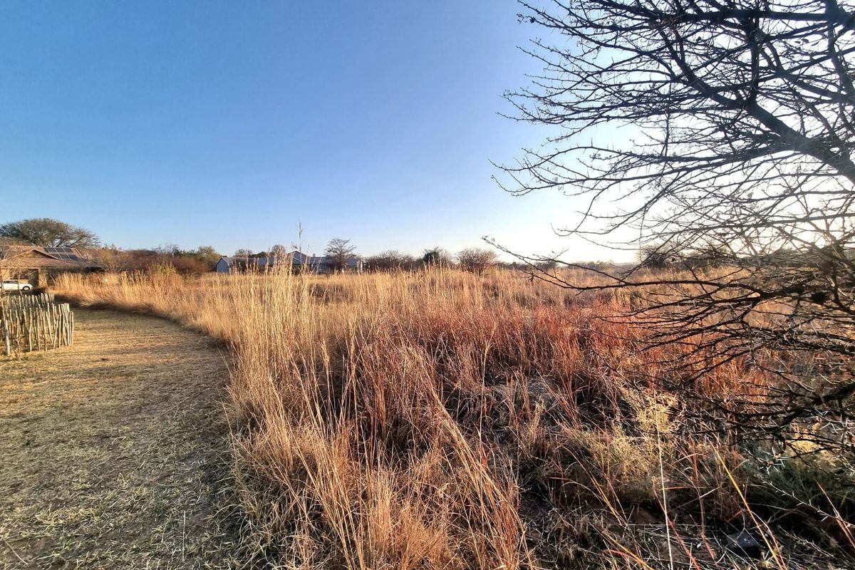 A view of a vacant commercial plot featuring natural dry grass and native trees, suitable for future development.
