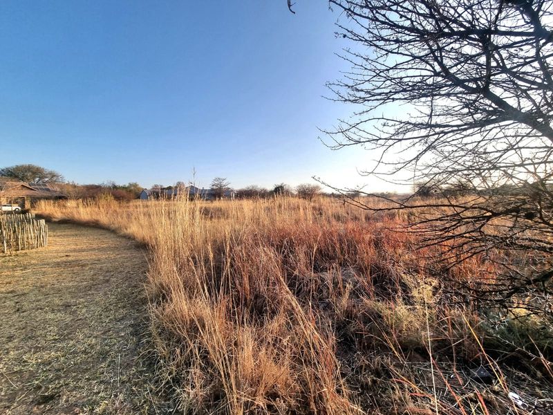 A view of a vacant commercial plot featuring natural dry grass and native trees, suitable for future development.