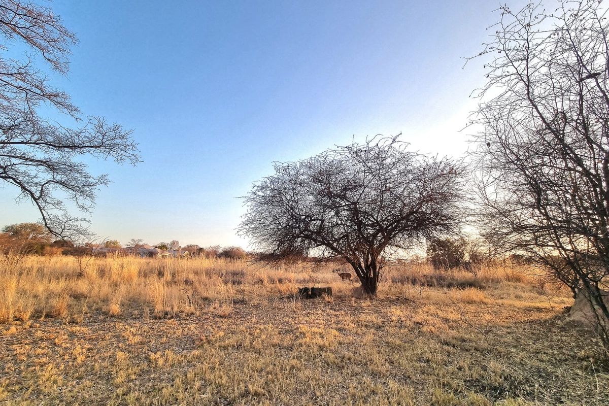 A view of a vacant commercial land plot featuring natural dry grassland and mature indigenous trees under a clear sky.