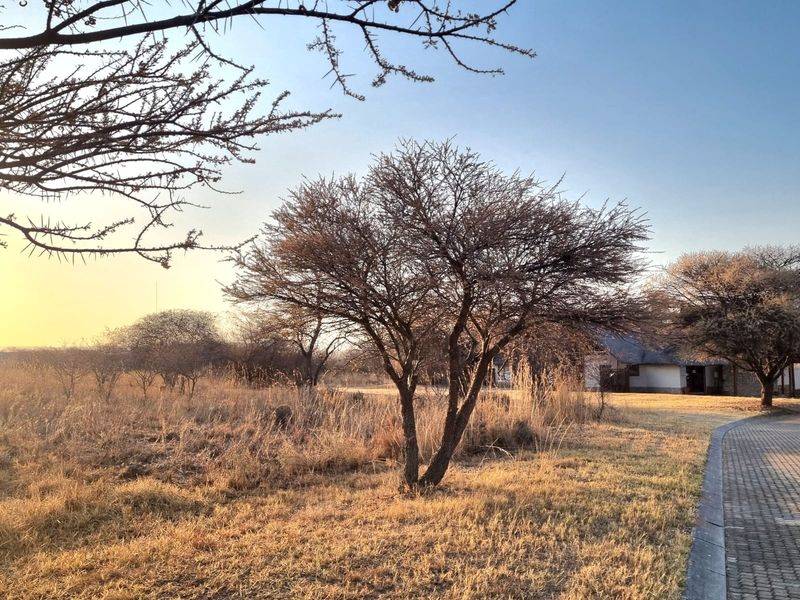 A view of the vacant commercial land featuring natural grassland, mature indigenous trees, and a paved walkway leading toward existing structures.
