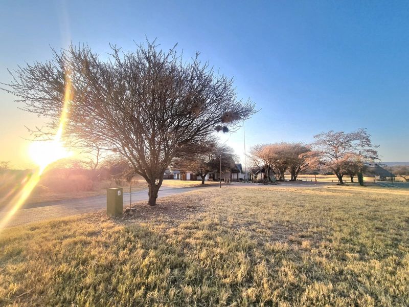 A view of the vacant commercial land featuring a paved driveway, mature trees, and an electrical utility box at sunset.