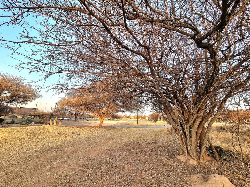A view of the vacant commercial land featuring mature trees and open, cleared ground.