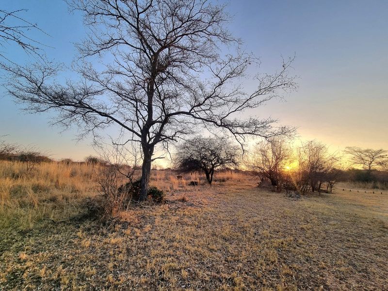 A scenic view of the vacant commercial land featuring natural vegetation and trees at sunset.