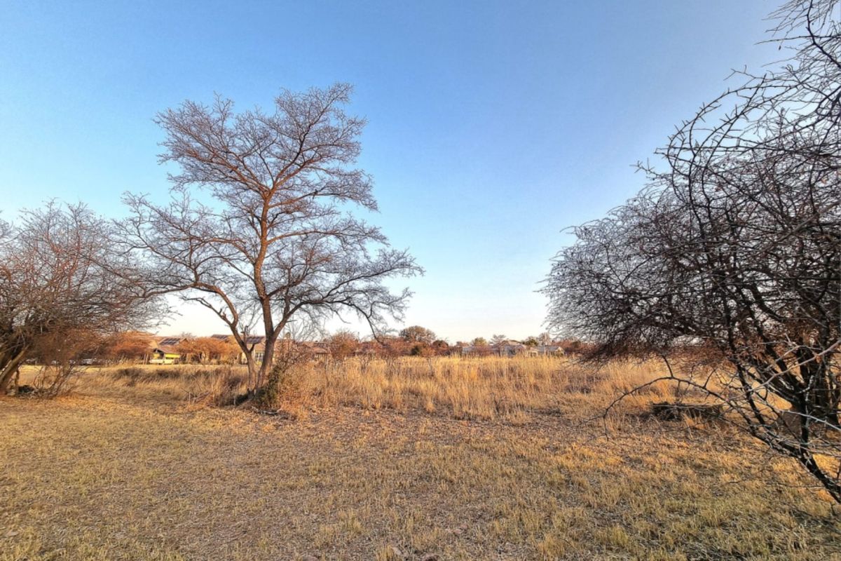 A view of a vacant commercial land plot featuring dry grass and mature trees, with neighboring properties visible in the background.
