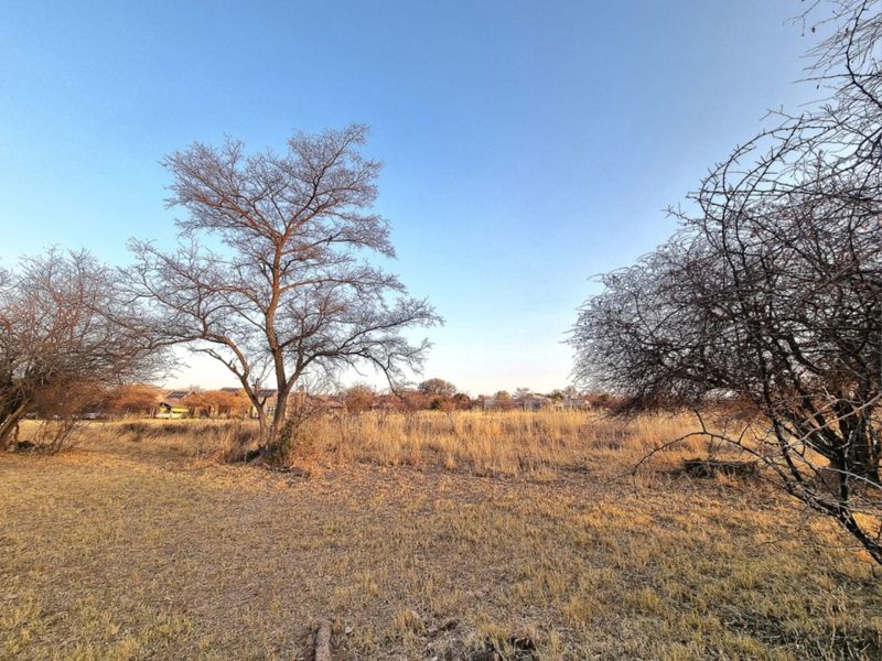 A view of a vacant commercial land plot featuring dry grass and mature trees, with neighboring properties visible in the background.