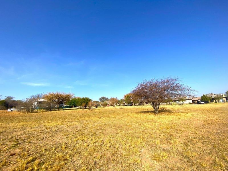 A wide-angle view of a vacant commercial land plot featuring dry grass and scattered mature trees under a clear blue sky.
