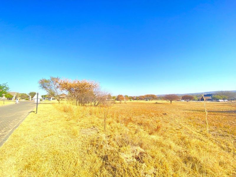 A view of a vacant commercial land plot adjacent to a paved road, featuring open grass and scattered trees.