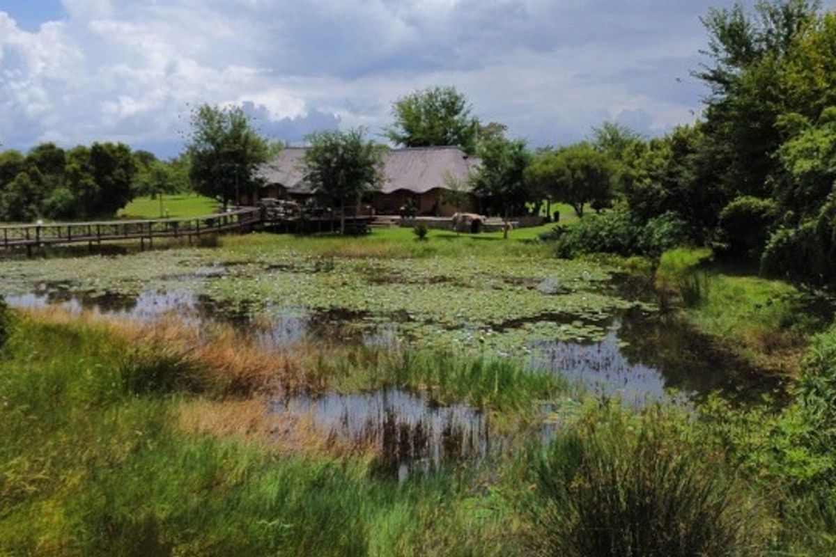 A scenic view of the rear property featuring a natural pond, a wooden footbridge, and a building with a traditional thatched roof.