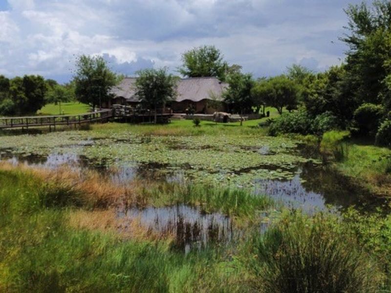 A scenic view of the rear property featuring a natural pond, a wooden footbridge, and a building with a traditional thatched roof.