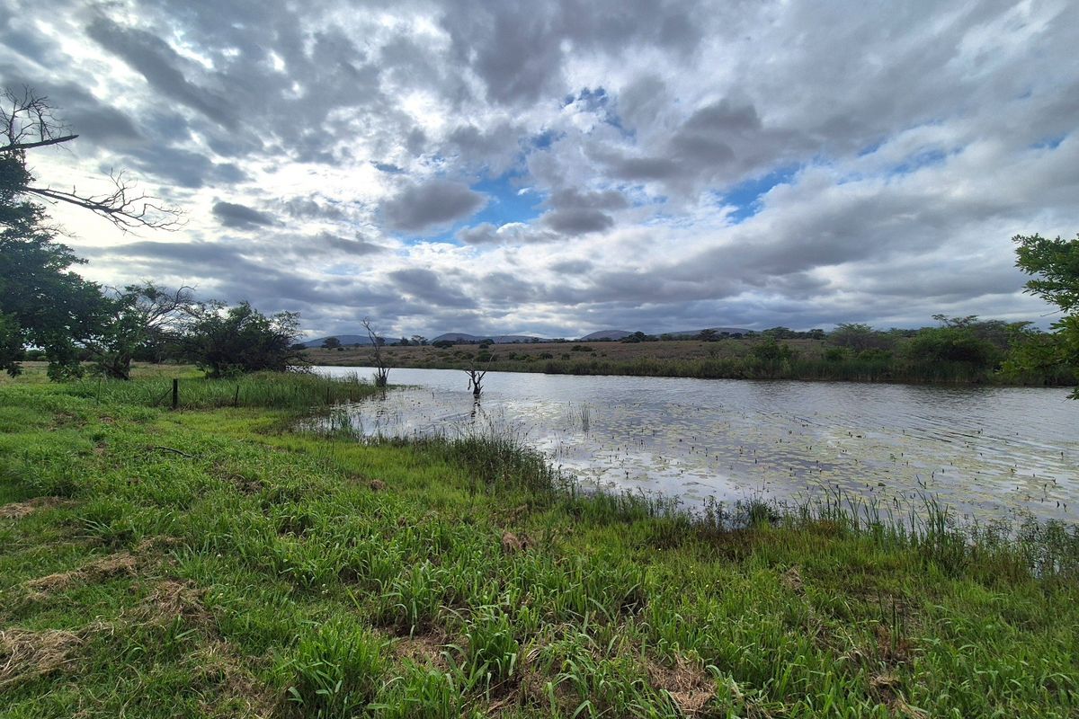 A scenic view of a natural dam and surrounding green pasture on the farm property under a cloudy sky.