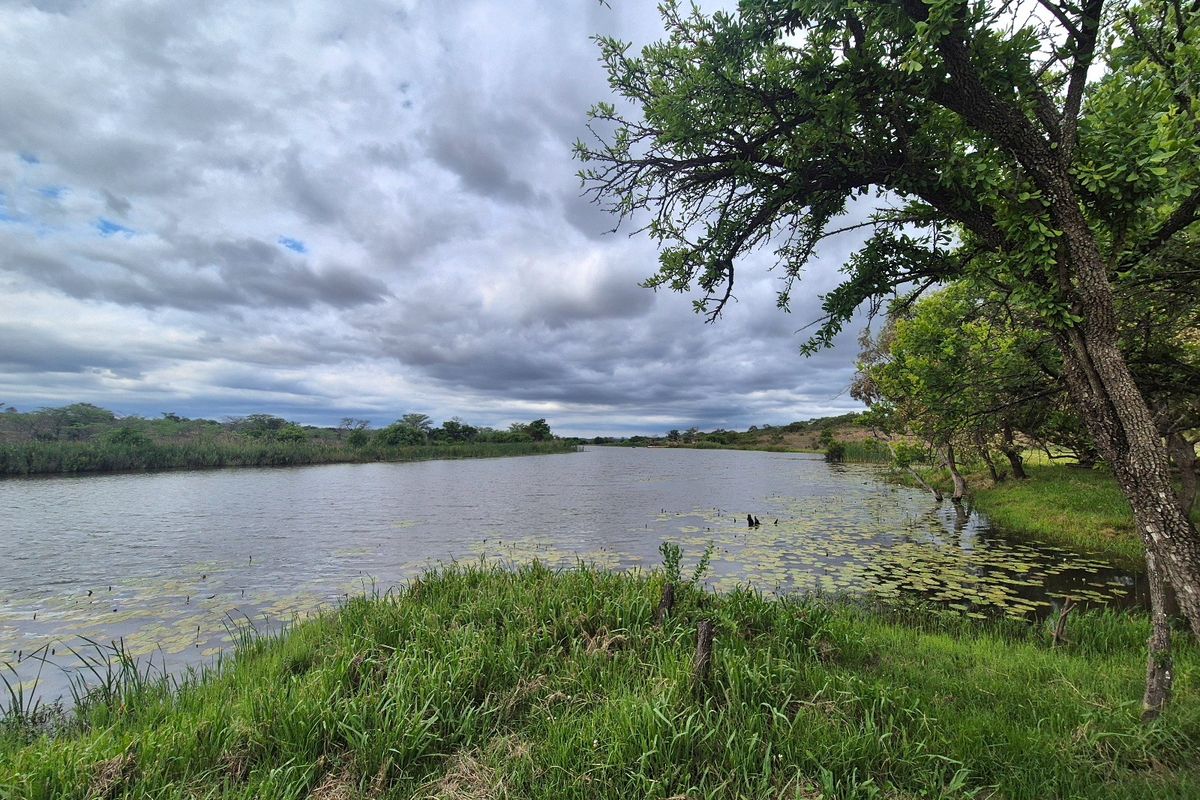 A scenic view of a natural dam or river on the farm, surrounded by lush greenery and mature trees under a cloudy sky.
