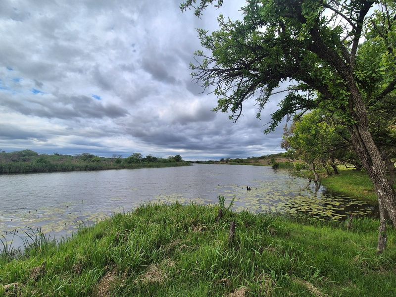 A scenic view of a natural dam or river on the farm, surrounded by lush greenery and mature trees under a cloudy sky.