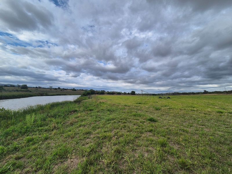Expansive farm landscape featuring open grazing fields, a natural water source, and an irrigation pivot system under a cloudy sky.