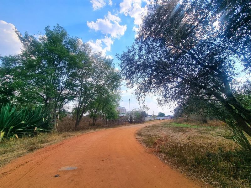 A view of an unpaved access road leading through a vacant commercial land plot with mature trees and natural vegetation.