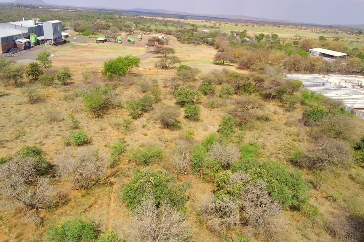 Aerial view of a large, undeveloped commercial land parcel featuring native vegetation, adjacent to an existing industrial facility and access roads.