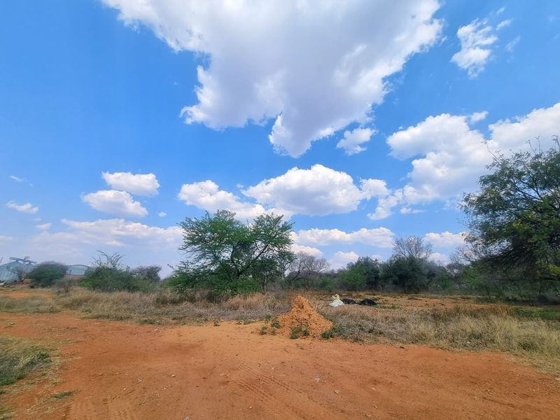 A view of an undeveloped commercial land plot featuring natural vegetation and a dirt access path under a clear blue sky.