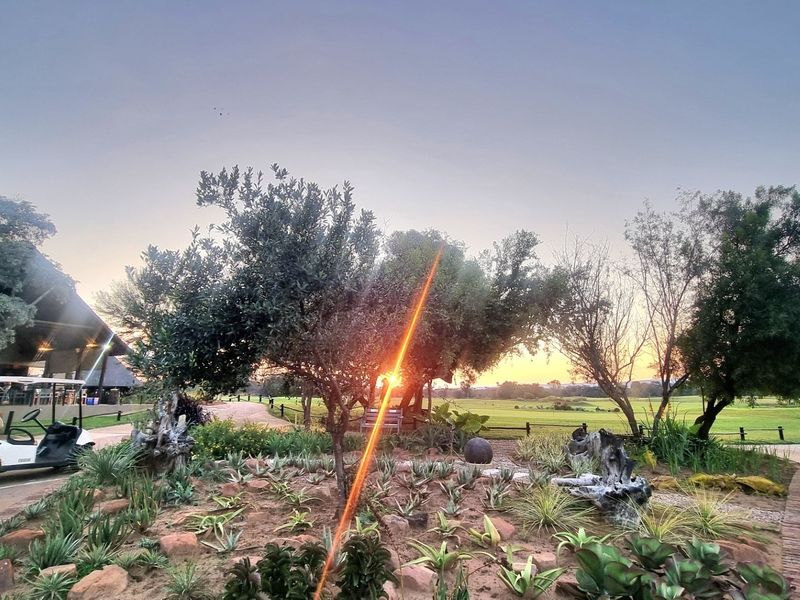 A beautifully landscaped garden area featuring mature trees, succulent beds, and paved pathways, set against a scenic sunset backdrop.