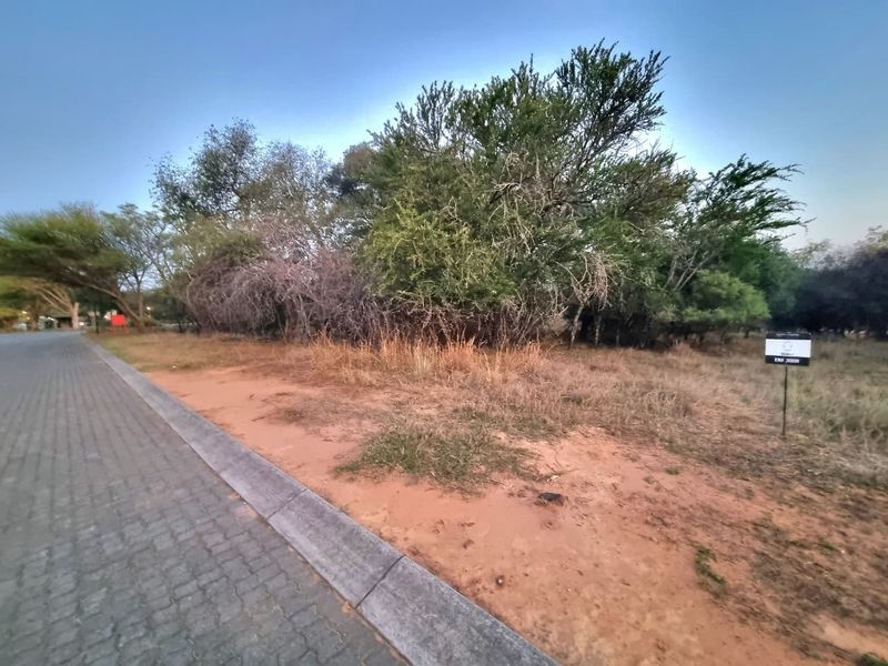 A vacant residential plot featuring natural vegetation, indigenous trees, and direct access to a paved road with concrete curbing.