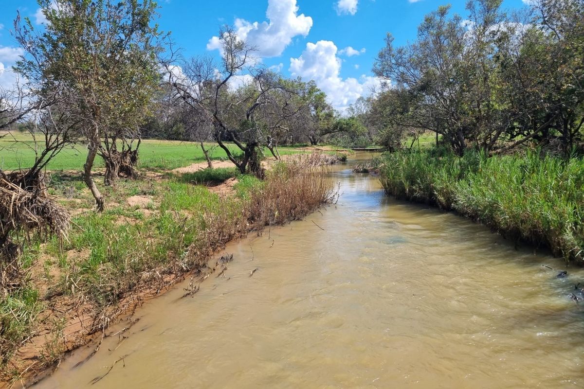 A scenic view of a natural stream flowing through the property, surrounded by mature trees and native riparian vegetation.