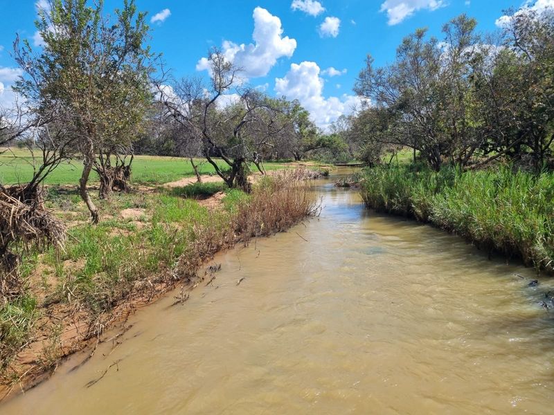 A scenic view of a natural stream flowing through the property, surrounded by mature trees and native riparian vegetation.
