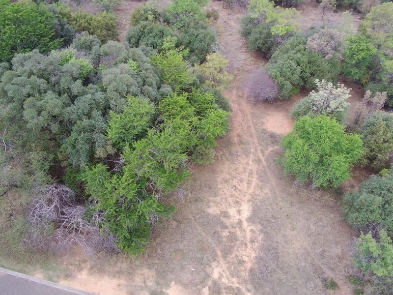 An aerial view of a vacant residential plot featuring established native trees and a natural dirt access path.