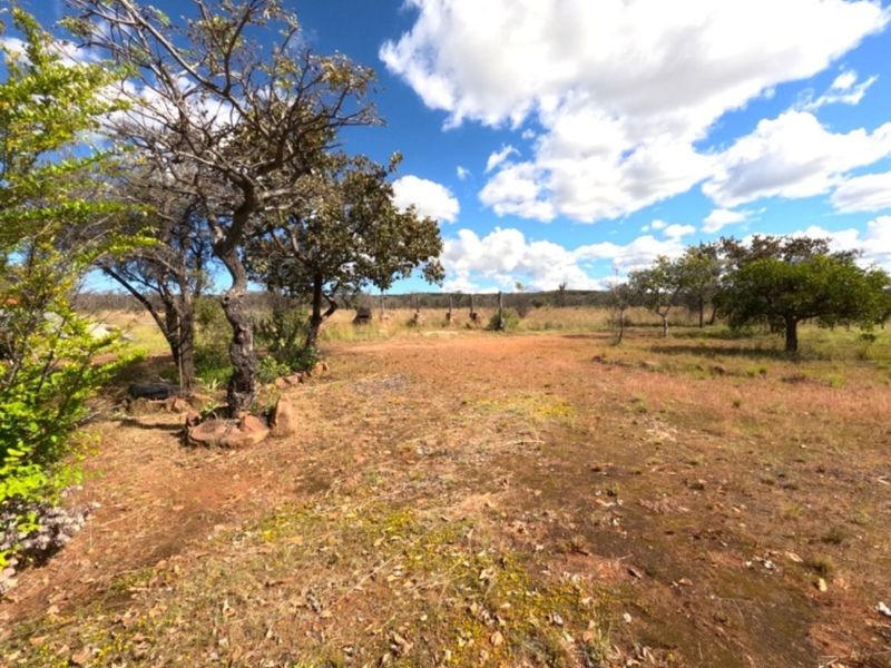 A wide-angle view of the expansive natural farm landscape featuring mature trees and open, undeveloped grounds under a bright blue sky.