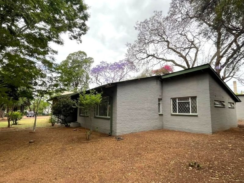A view of the rear exterior of a single-story house featuring painted brick walls, metal-framed windows, and a mature garden setting.