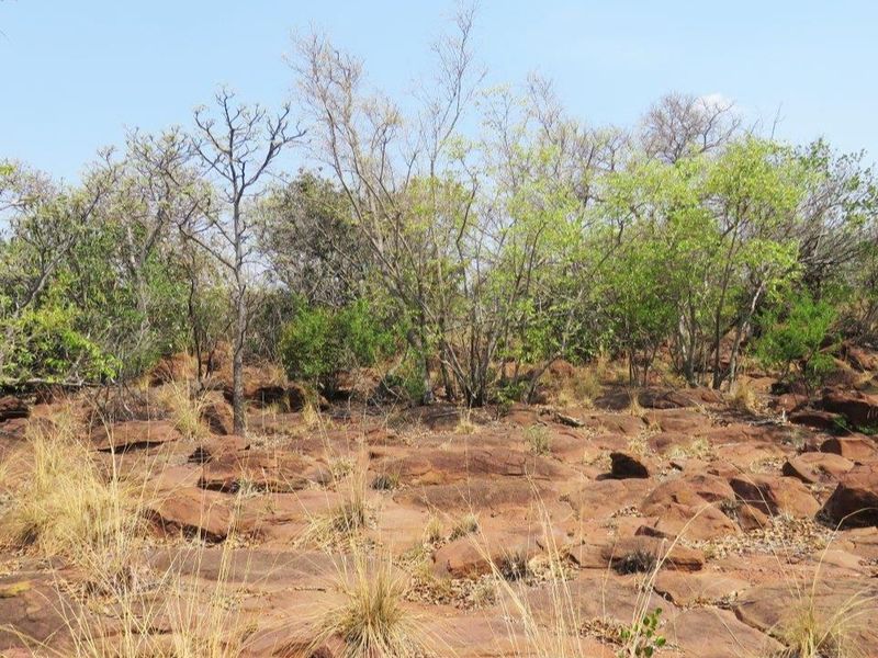 Breath taking stand in the beautiful Leopard's Rock Wildlife Estate - Photo 7