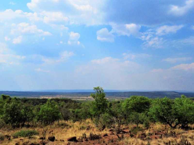 Breath taking stand in the beautiful Leopard's Rock Wildlife Estate - Photo 8