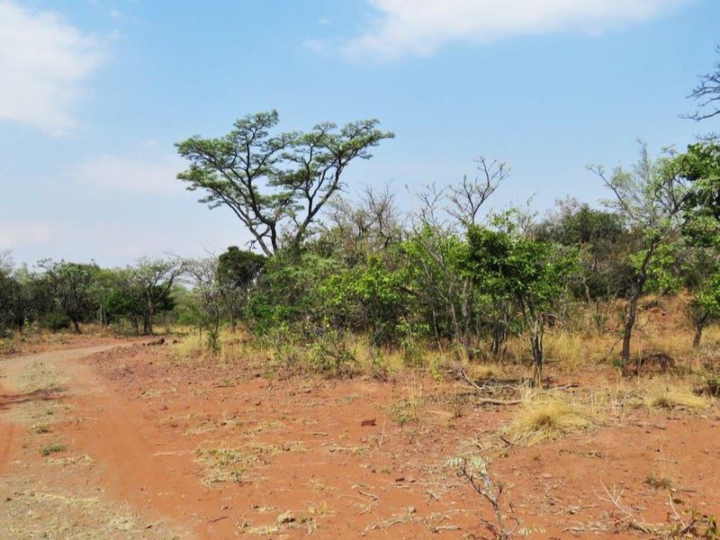 Breath taking stand in the beautiful Leopard's Rock Wildlife Estate - Photo 6