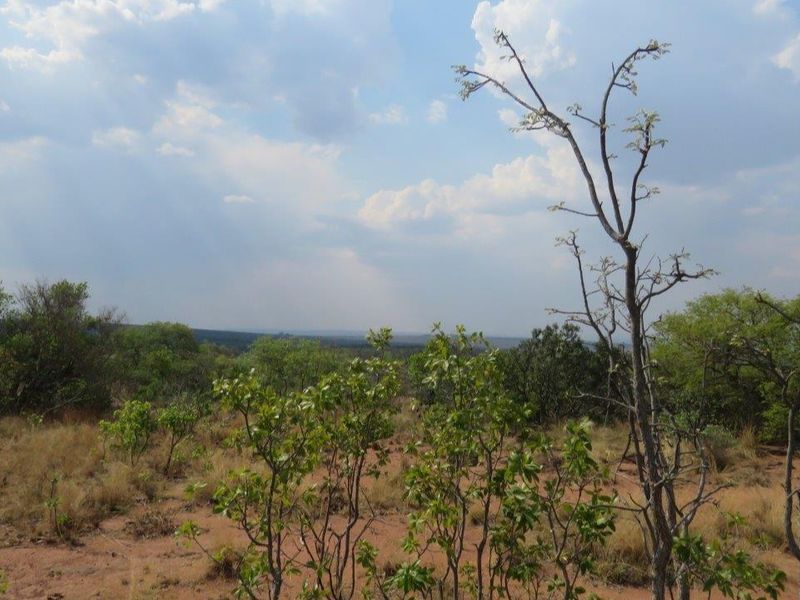 Breath taking stand in the beautiful Leopard's Rock Wildlife Estate - Photo 9