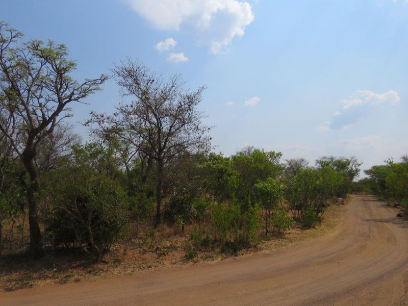 Secure your piece of nature and let the call of the wild indulge your senses. - Photo 9