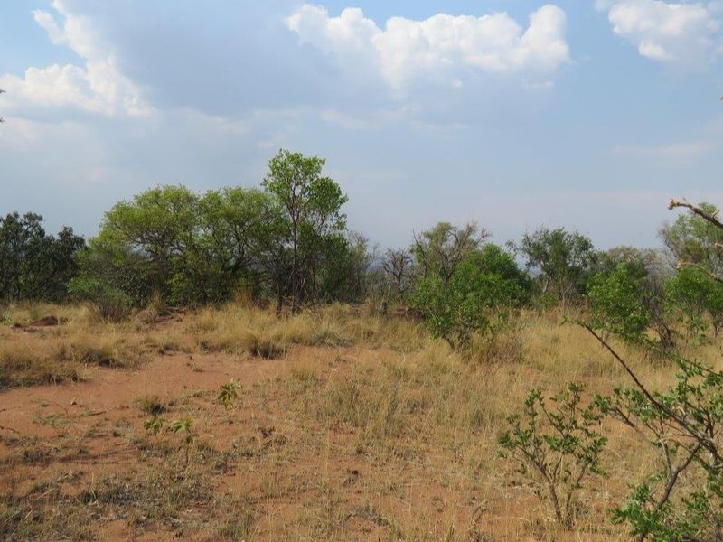 Secure your piece of nature and let the call of the wild indulge your senses. - Photo 7