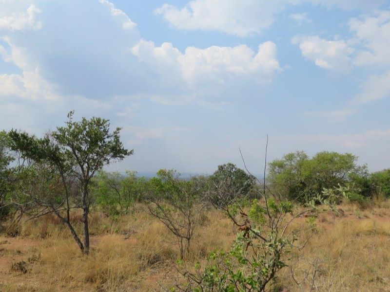 Secure your piece of nature and let the call of the wild indulge your senses. - Photo 6