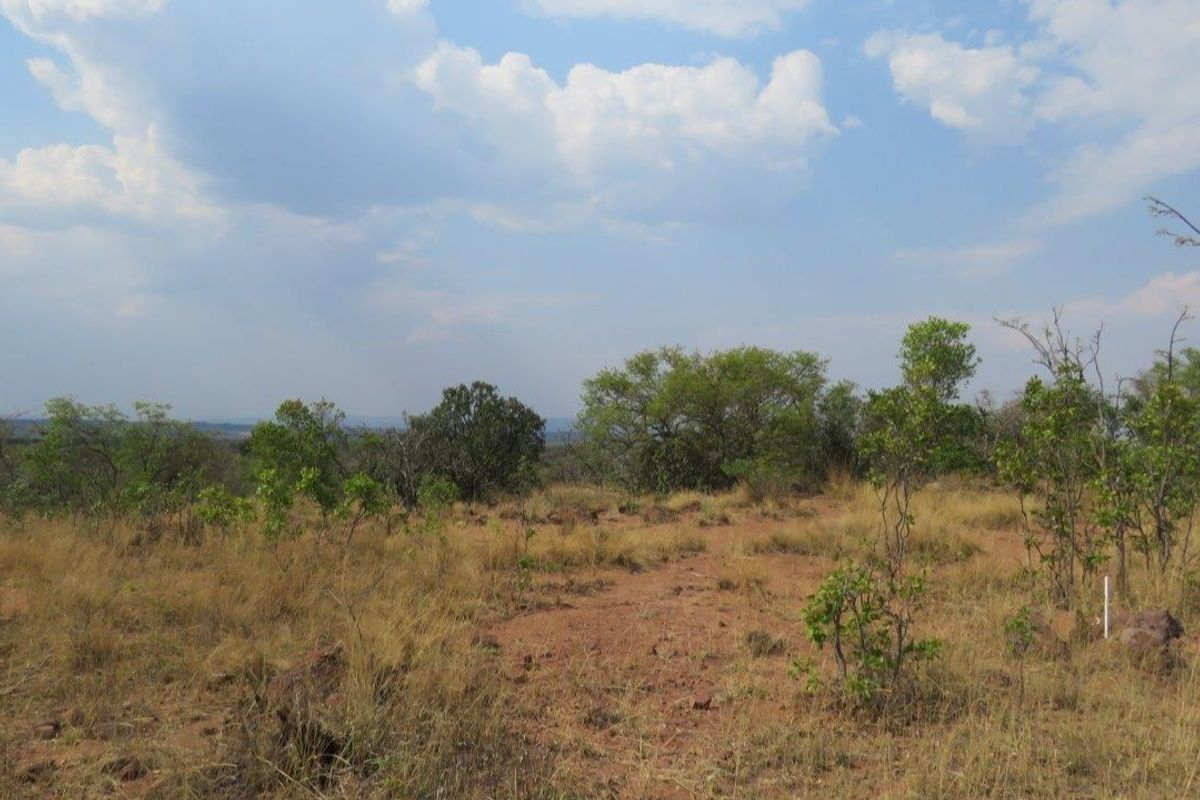 Secure your piece of nature and let the call of the wild indulge your senses. - Photo 5