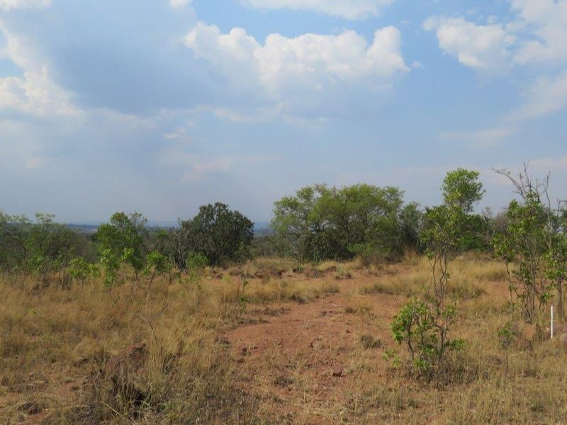 Secure your piece of nature and let the call of the wild indulge your senses. - Photo 5