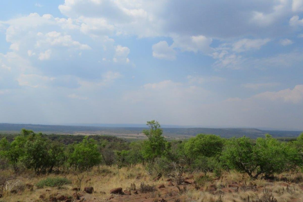 Secure your piece of nature and let the call of the wild indulge your senses. - Photo 4