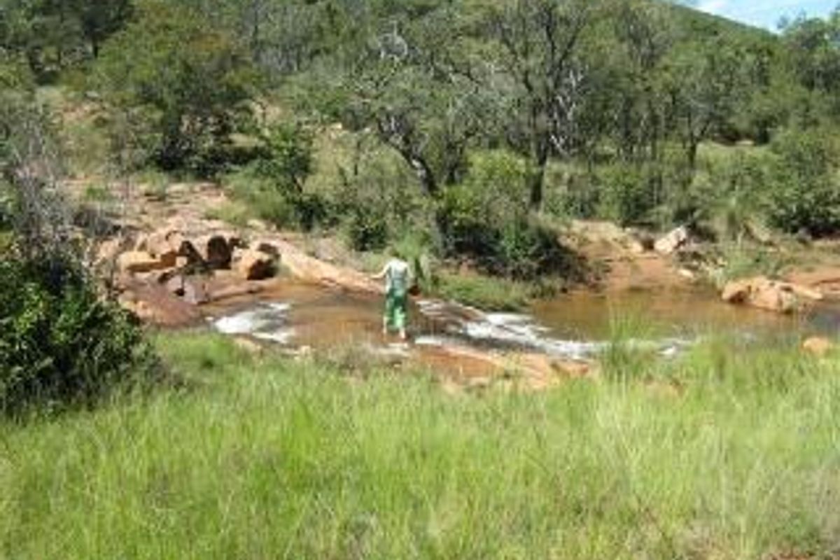Get your own piece of Bushveld and indulge your senses. - Photo 2