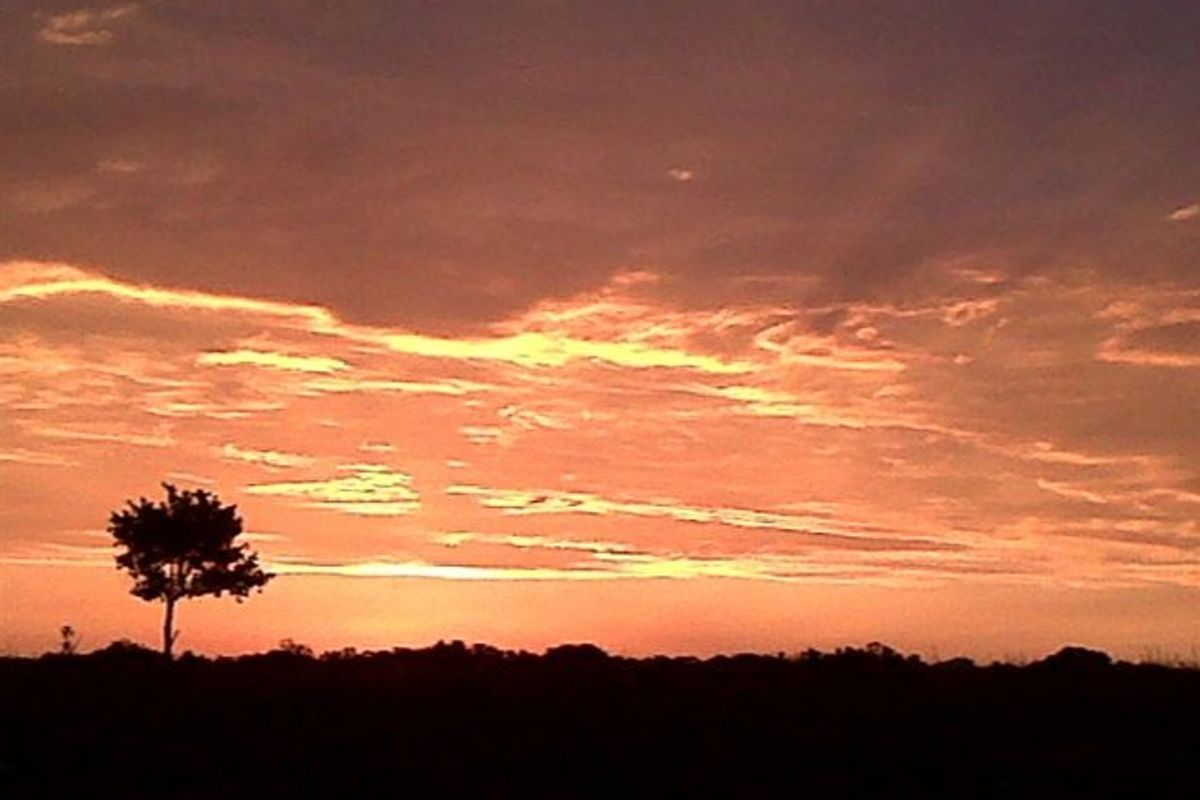 Get your own piece of Bushveld and indulge your senses. - Photo 5