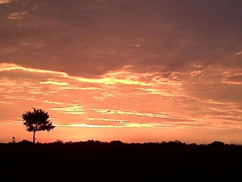 Get your own piece of Bushveld and indulge your senses. - Photo 5