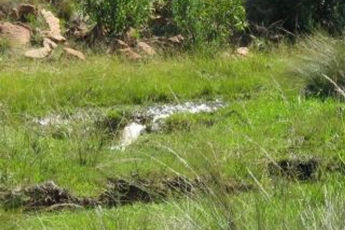 Get your own piece of Bushveld and indulge your senses. - Photo 3