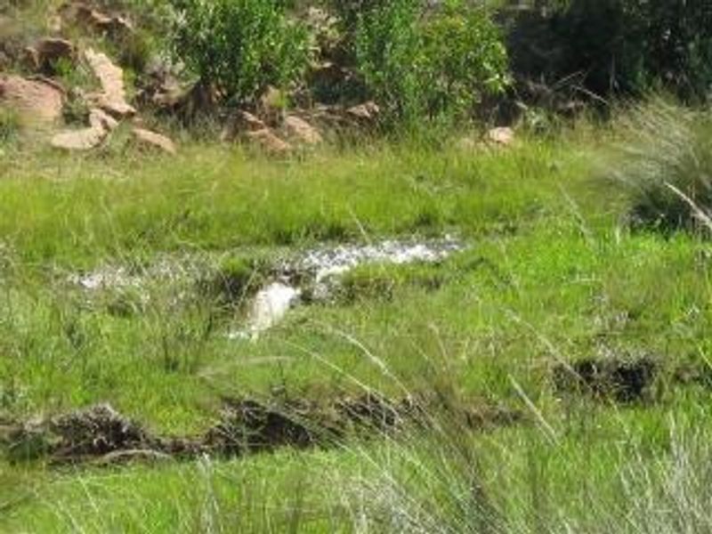 Get your own piece of Bushveld and indulge your senses. - Photo 3