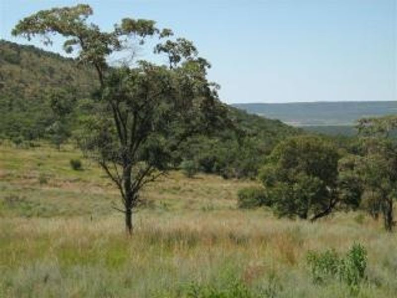 Get your own piece of Bushveld and indulge your senses. - Photo 10