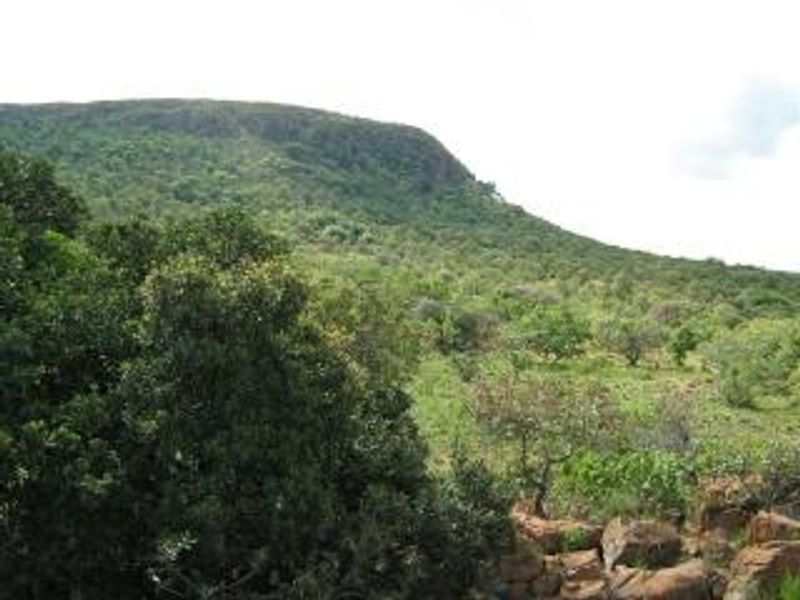 Get your own piece of Bushveld and indulge your senses. - Photo 7